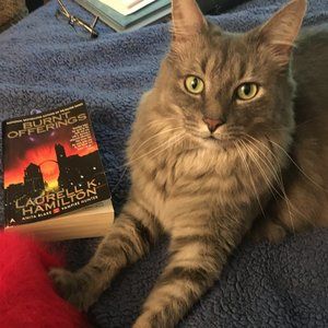 Meet your Posher, Eve!